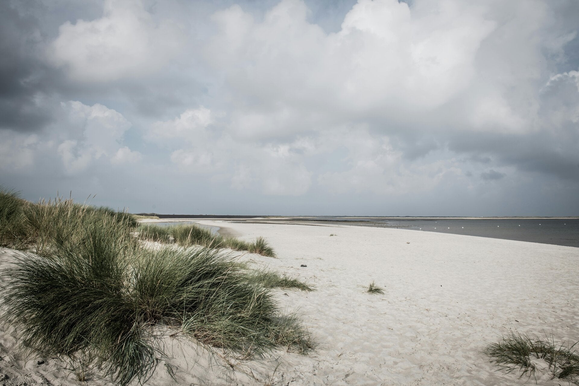 Fotokurs Föhr, Husum, Büsum, Amrum, Fotowanderung, Fotowalk, Fotokurs Nordsee