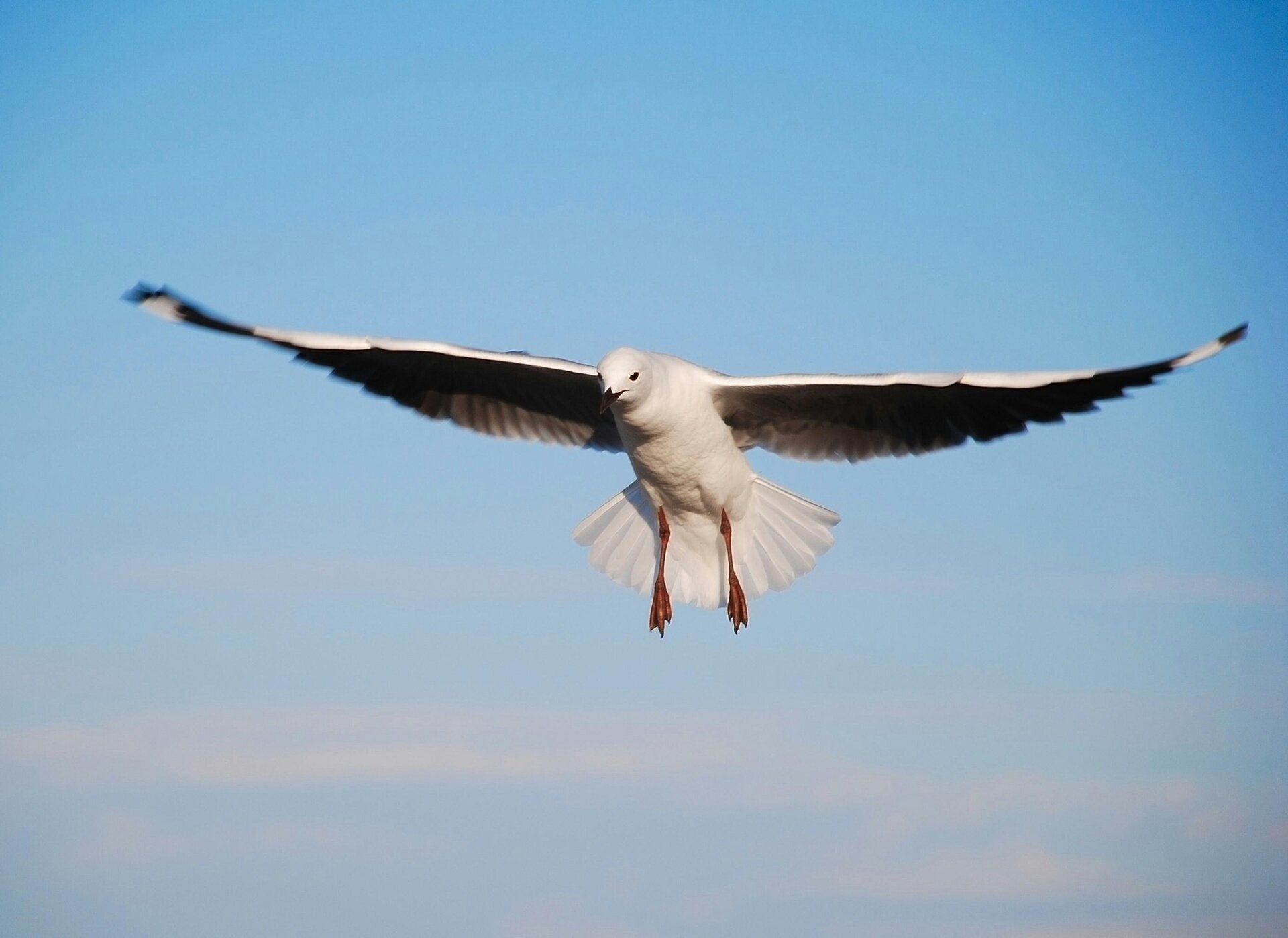 💡 Resultaat: Je leert wie je écht bent, wat je belangrijk vindt, en je komt terug met nieuwe energie en helderheid over je toekomst.