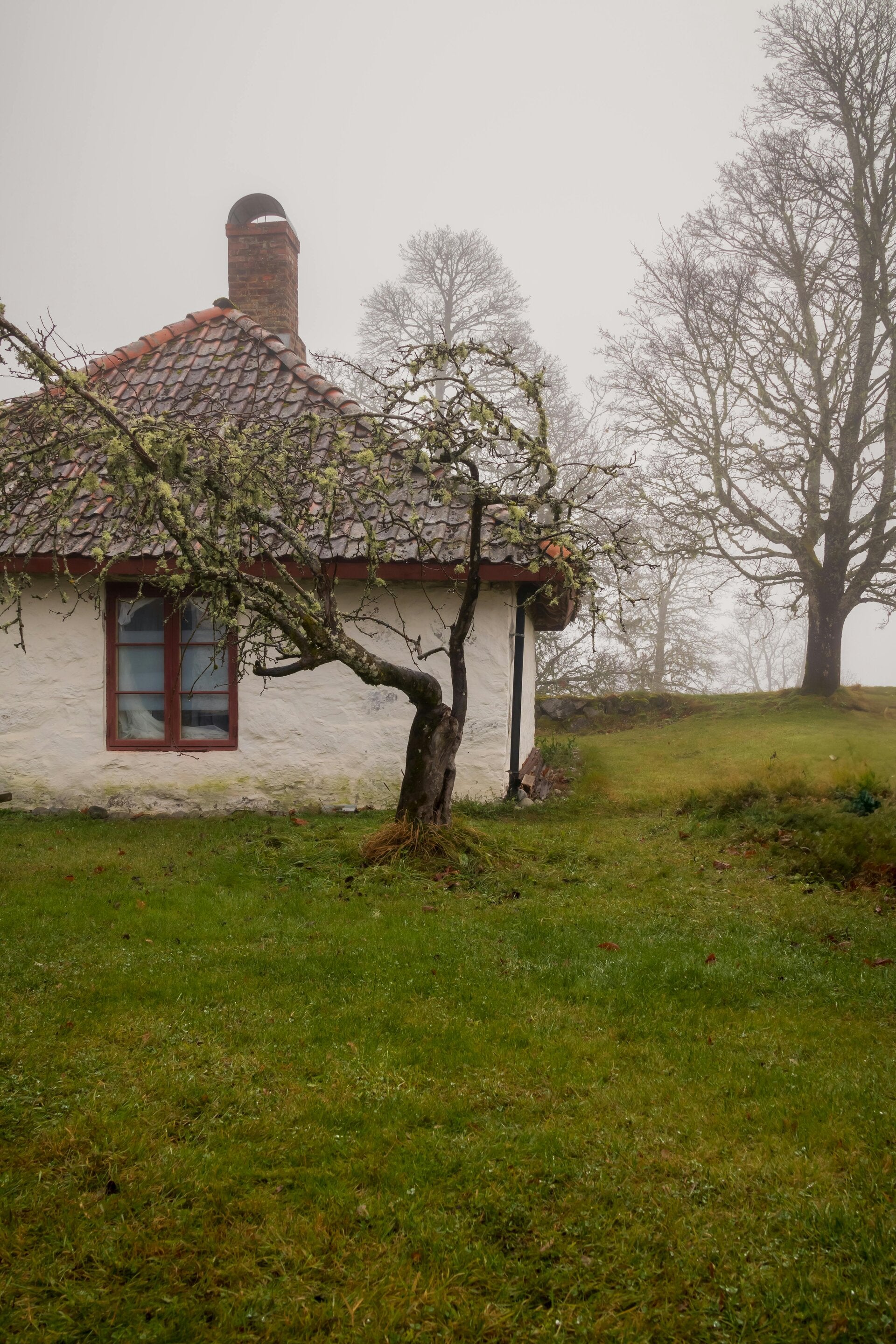 Fritidshus i Sverige efter vintern