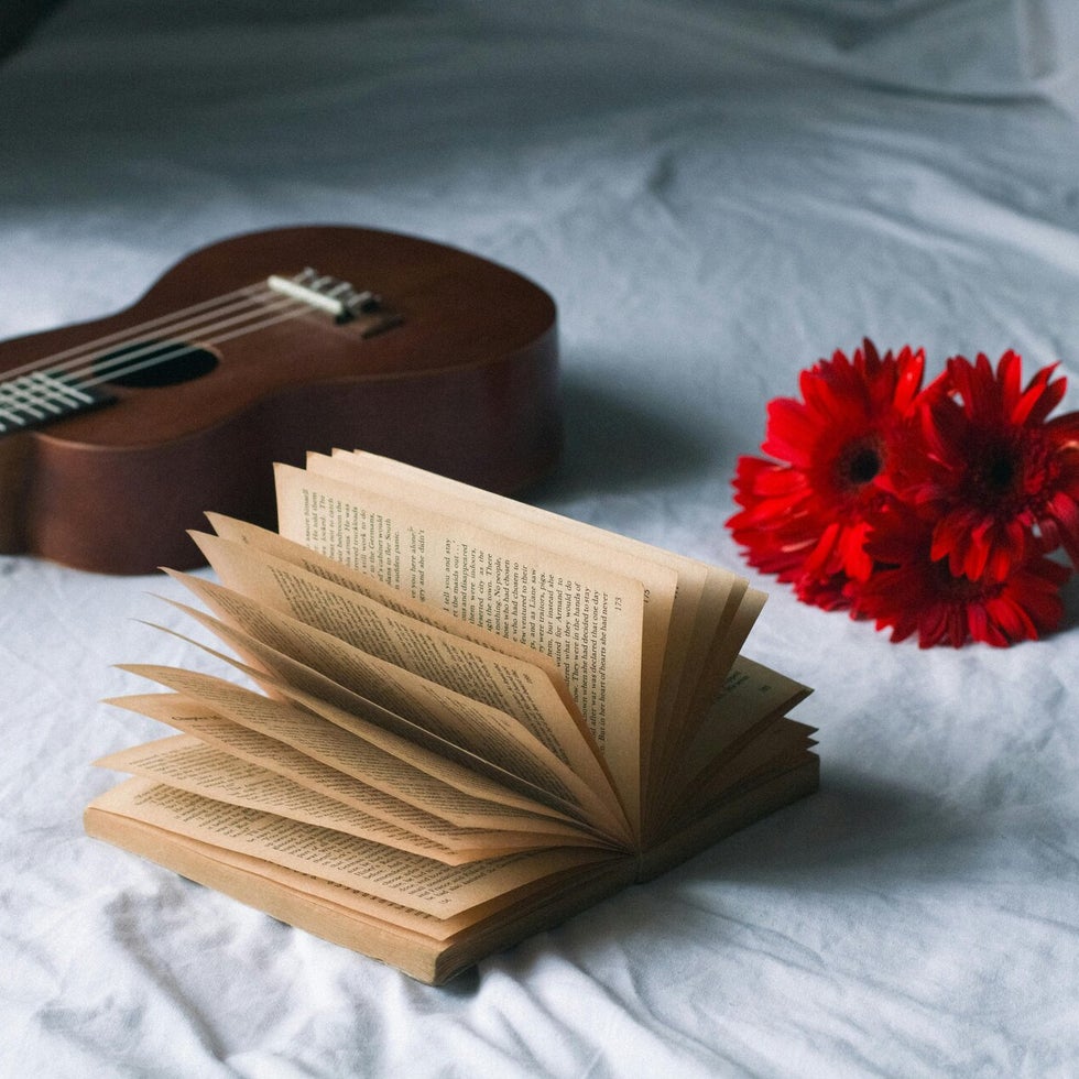 Foto chrissannah mecanzie gitaar liedboek rode bloemen Missnienox poëzie