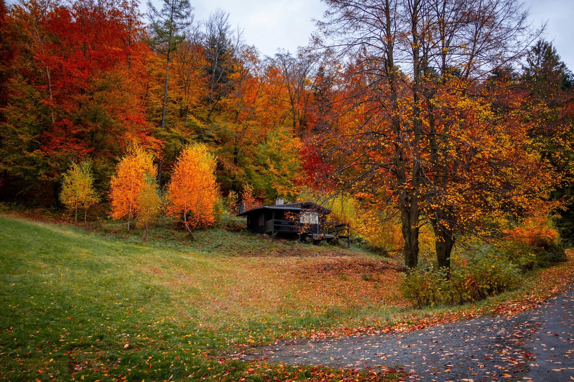 Vosges-hors-saison.jpg