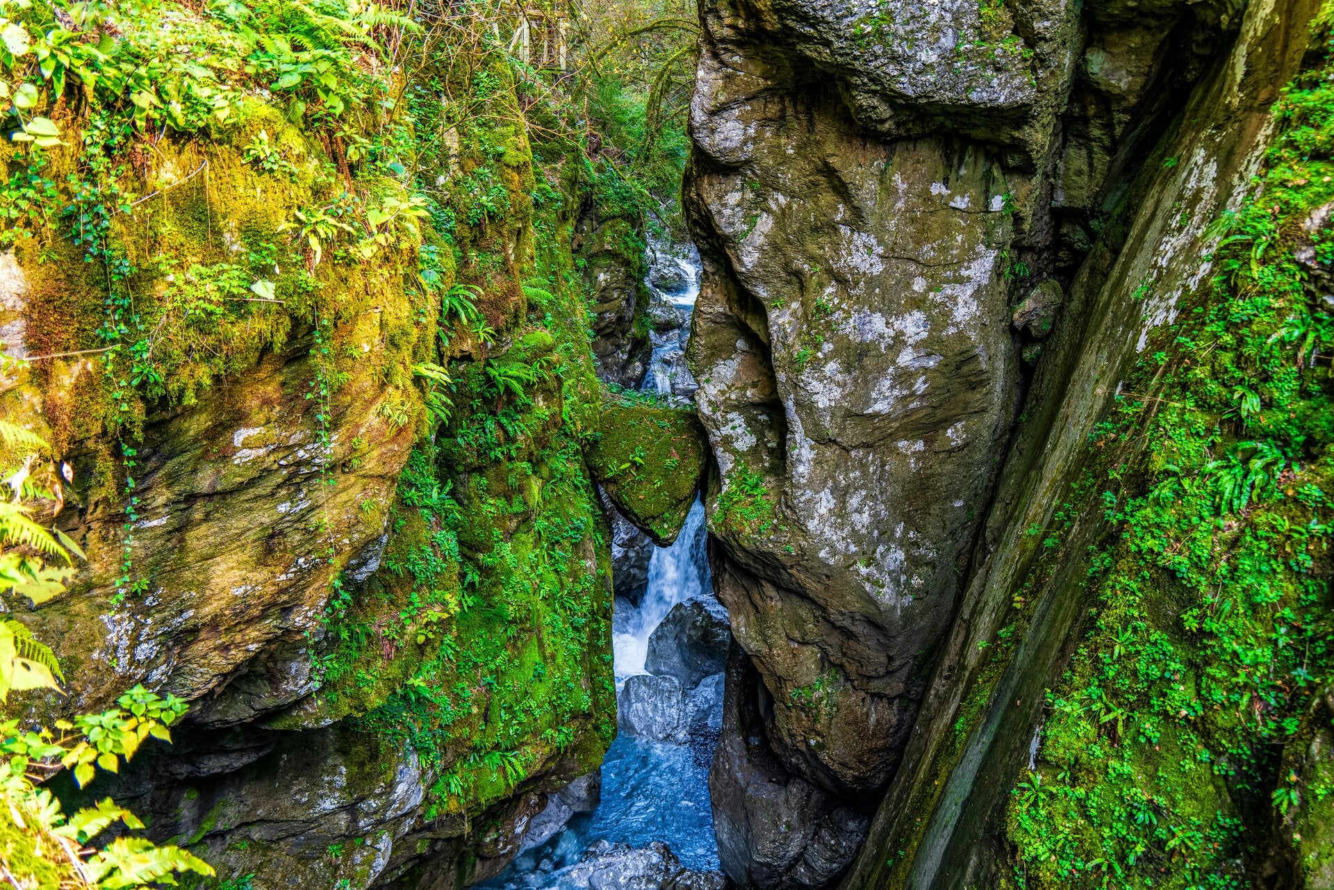 Torrent traversant un vallon rocheux