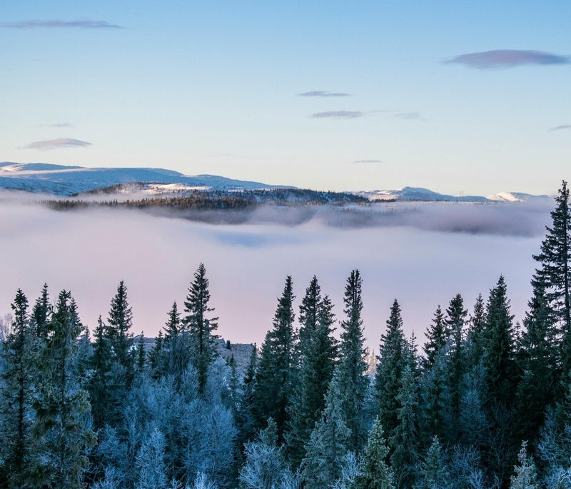 Langlaufen door het winterlandschap tijdens de Lapland Experience