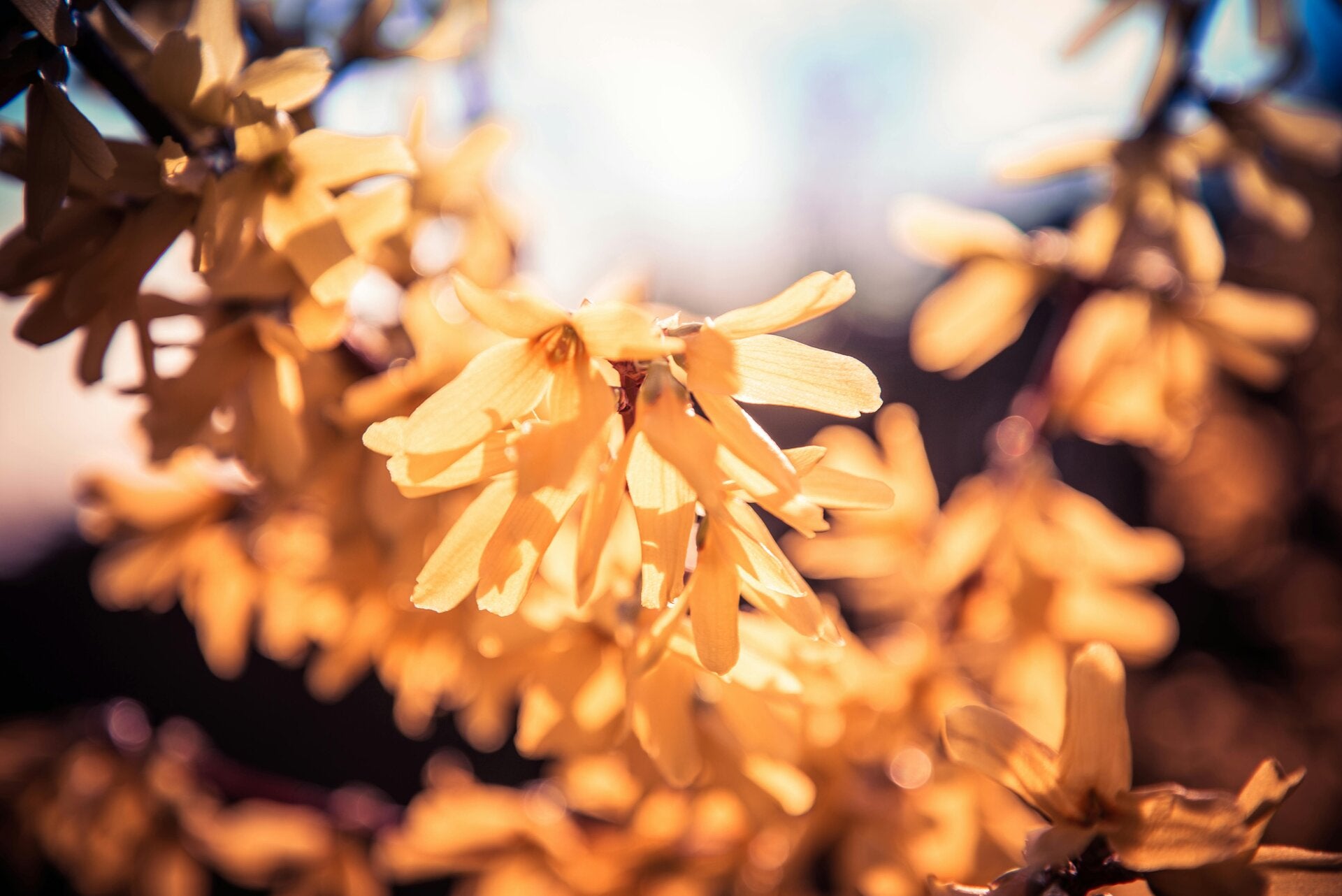 Person im Meditationssitz mit nach oben geöffneten Händen auf den Knien ruhend.