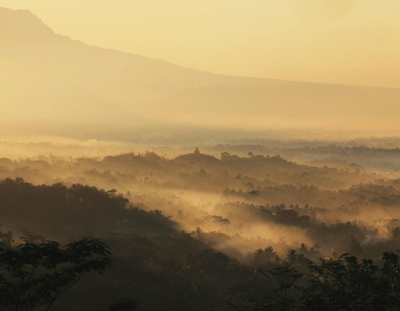 Ochtendnevel boven het land rond de Borobudur op Java