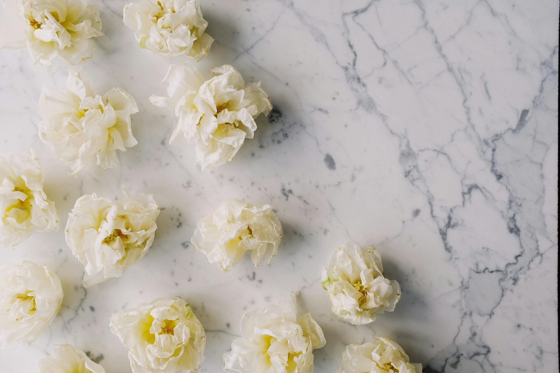 les vertus du clou de girofle 