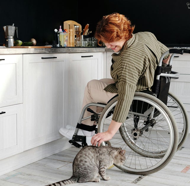 Vrouw in rolstoel aait haar kat in een schone, toegankelijke keuken—Blink & Babbel staat voor zorgzame schoonmaak voor iedereen