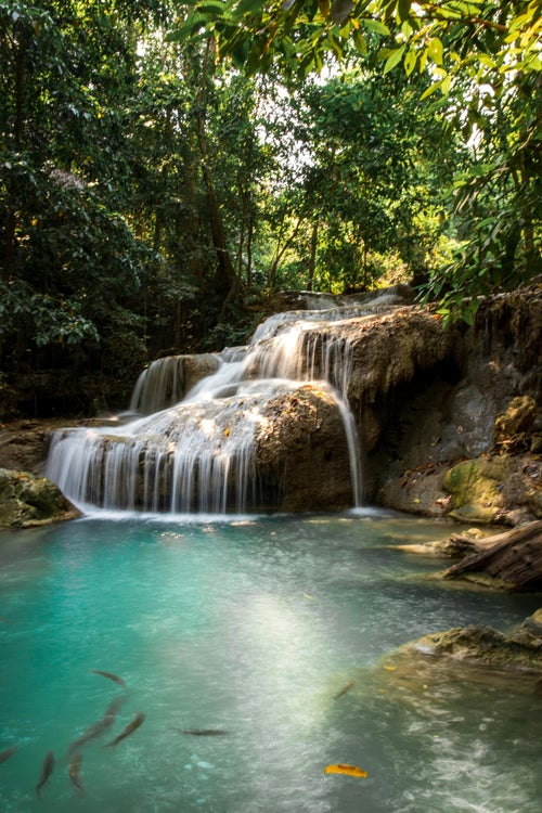 Cascade turquoise dans la jungle