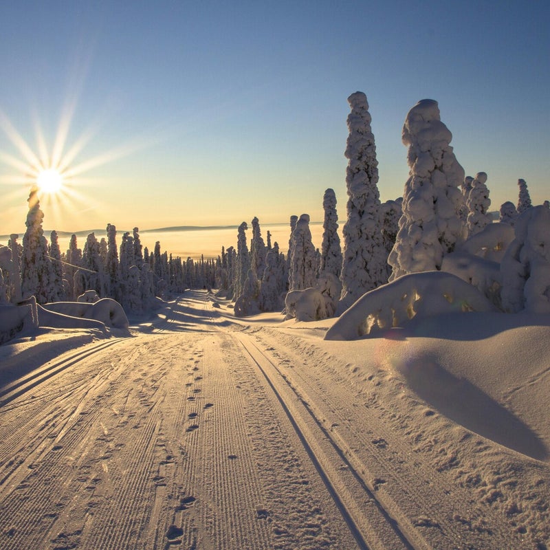 Langlaufen in Lapland