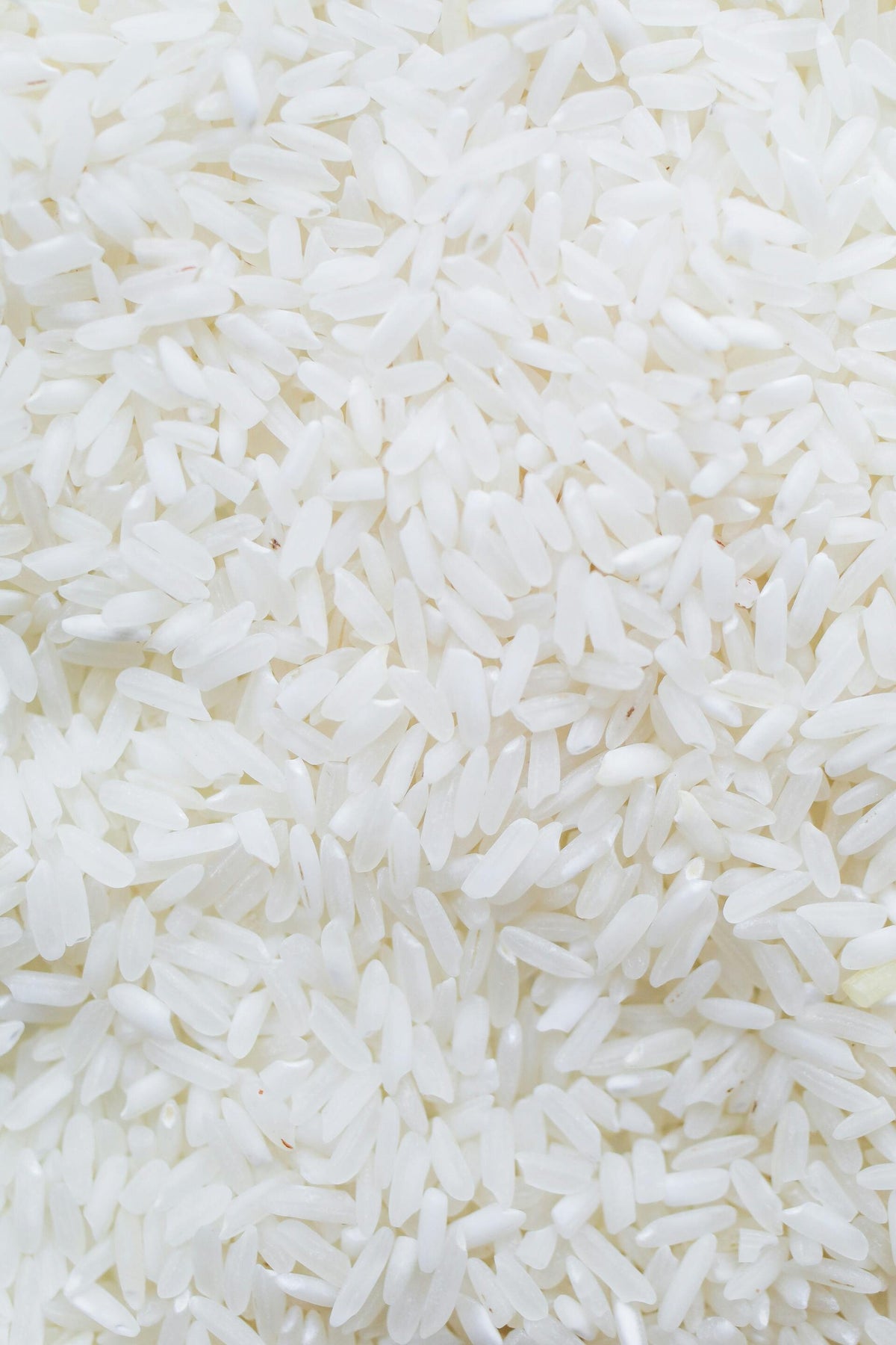UNIVERSAL RICE CO LTD