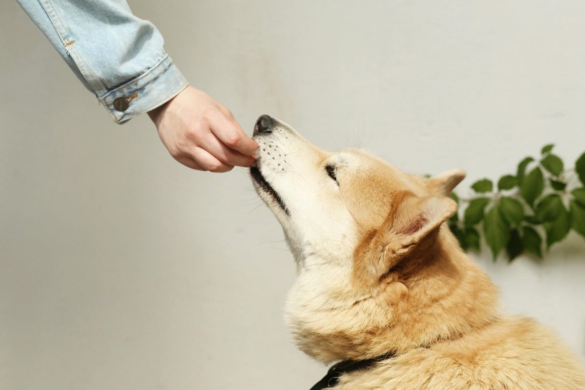 The Dog's Deli - The Pet Nutrition Centre