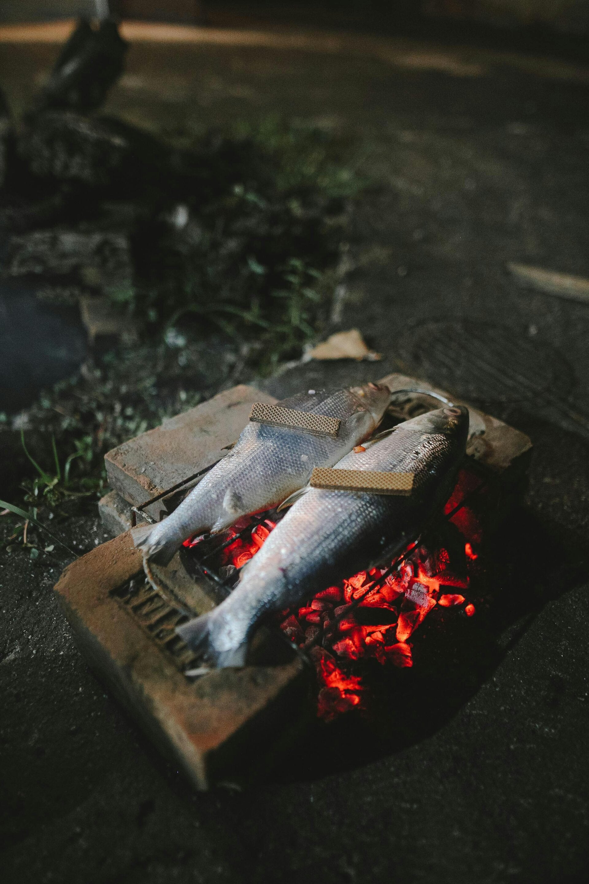 birmingham-fishing-adventures-live-bait-fishing-setup