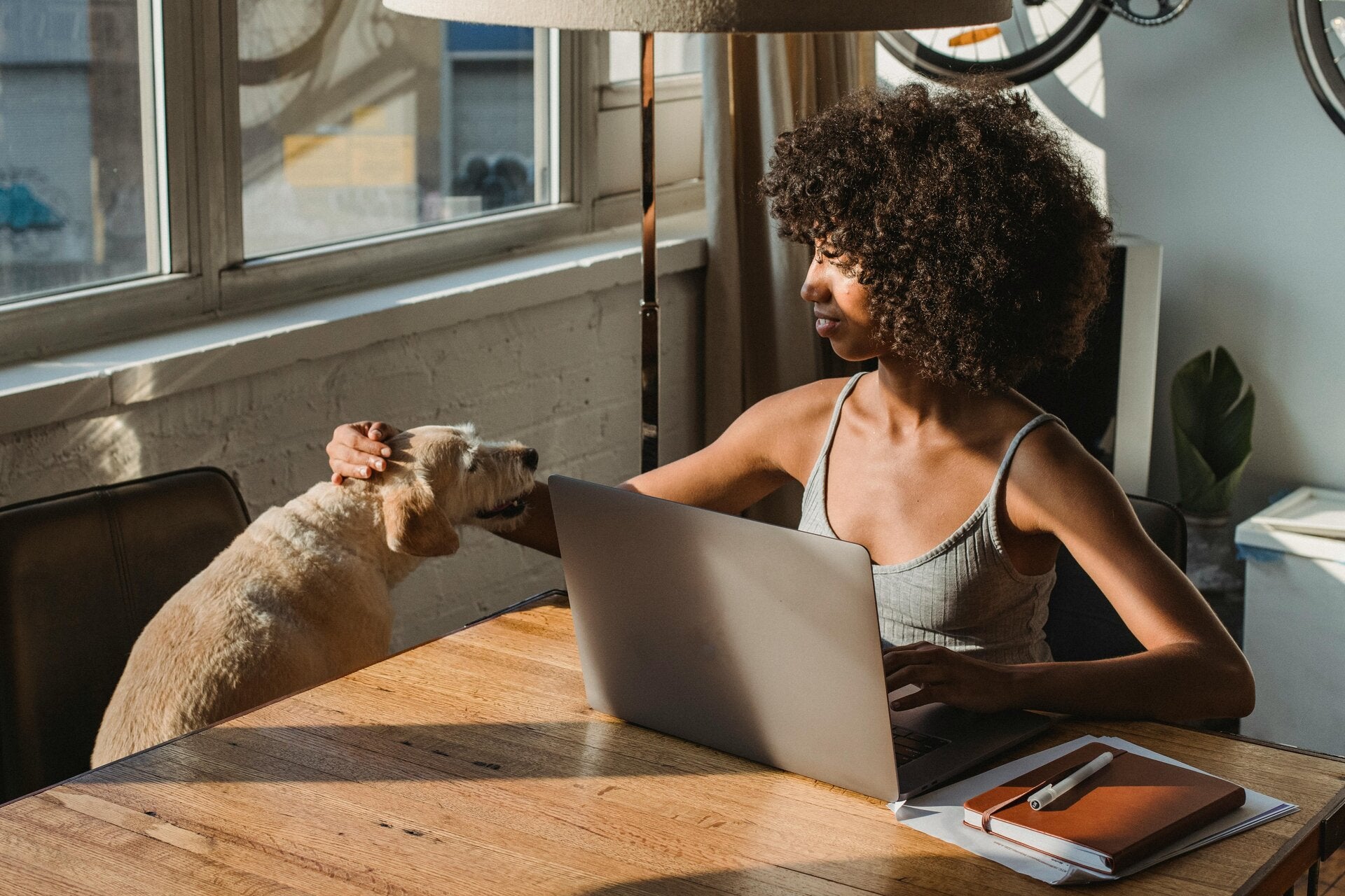 éducateur comportementaliste canin Orléans