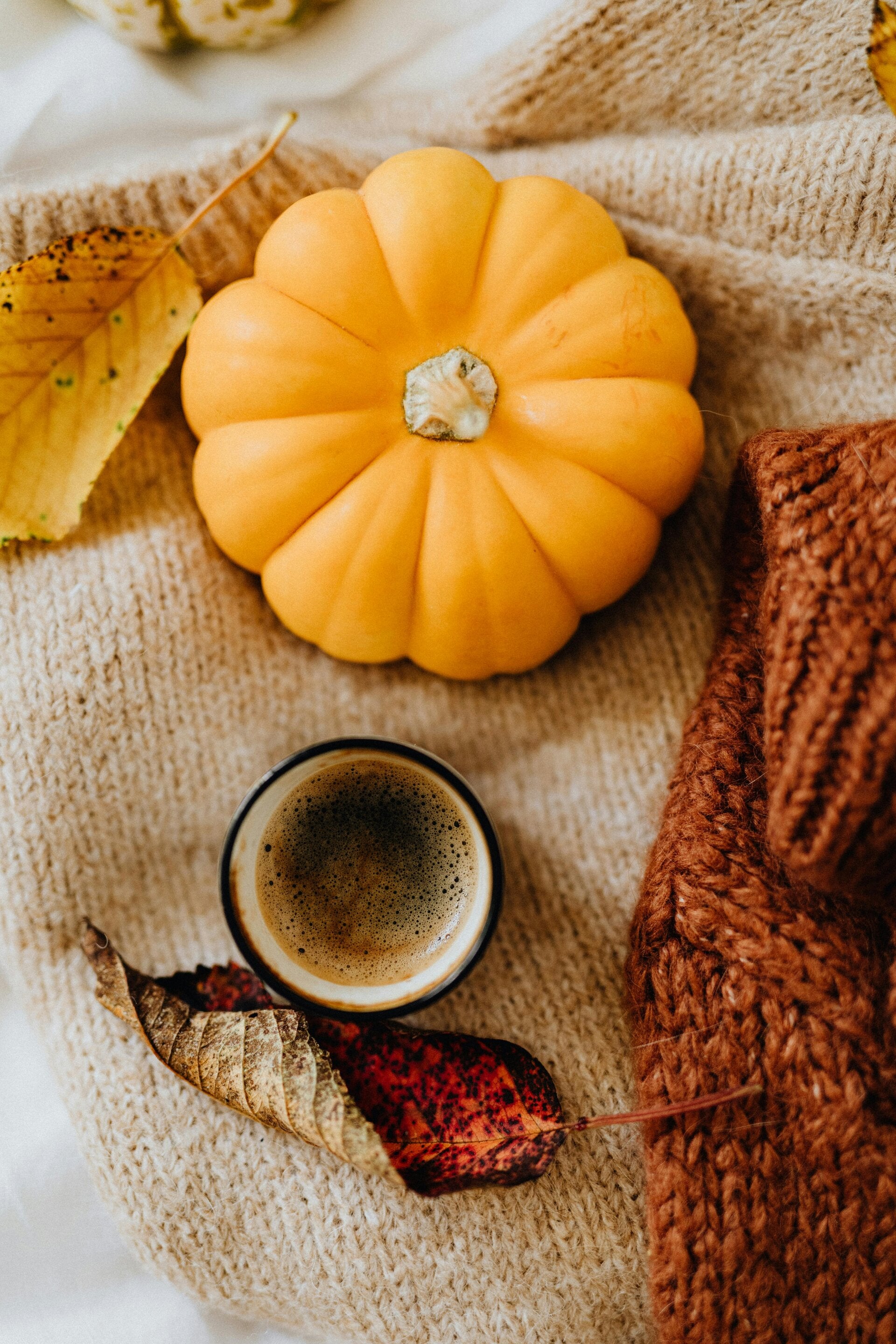 De herfst in huis gezelligheid
