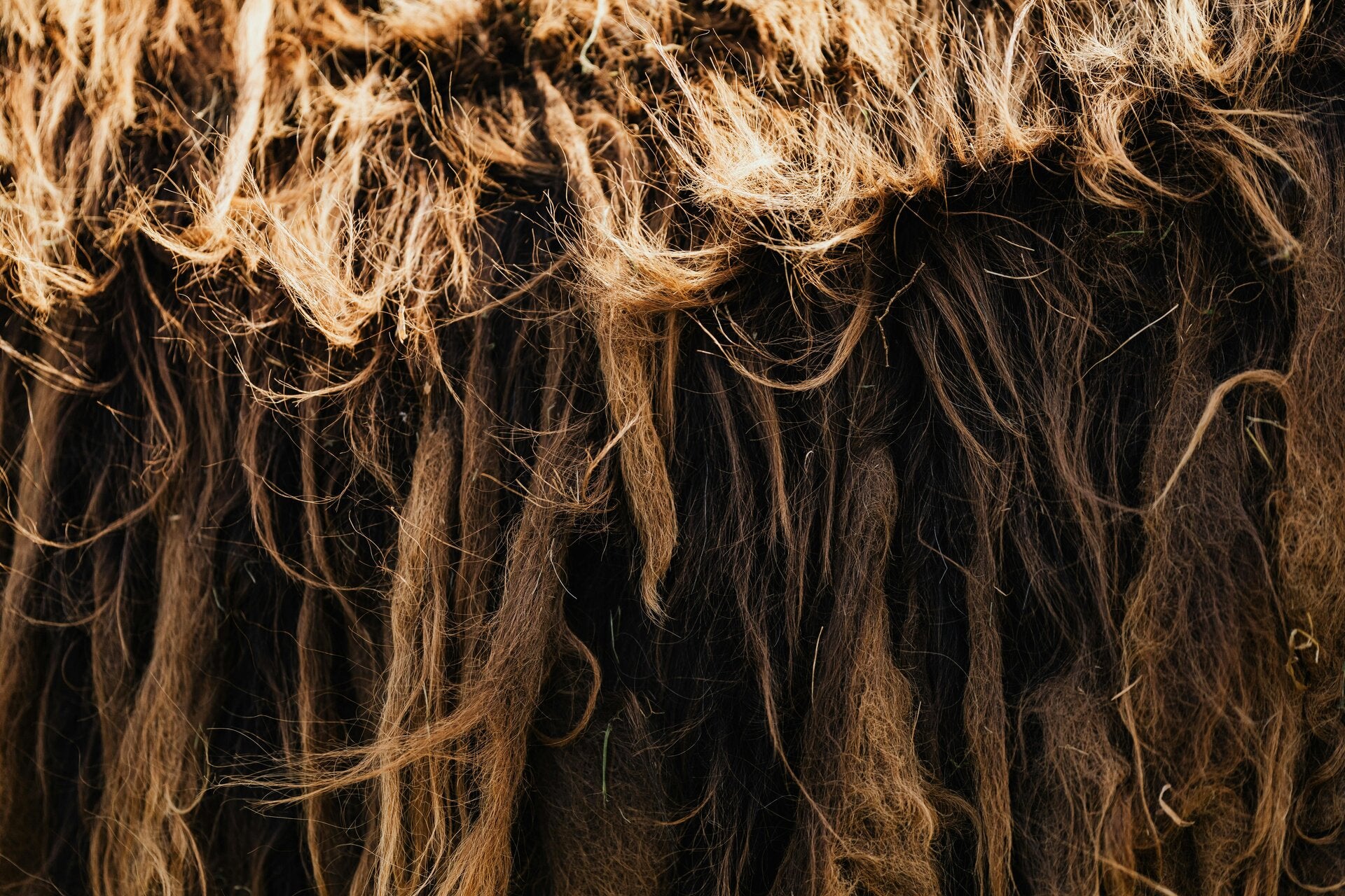 Haartype & Porositeit