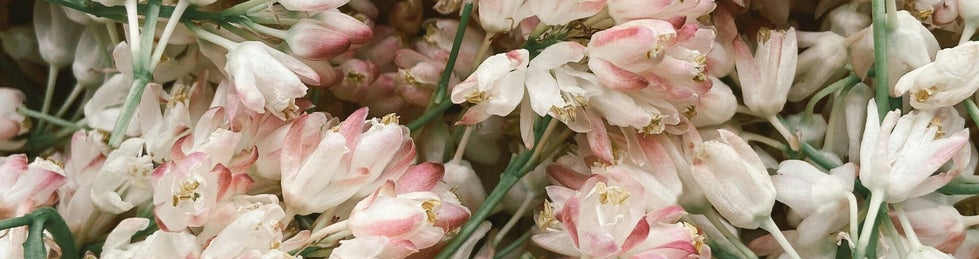 tekst: "Pink & white romantisch" op een zachtrose achtergrond