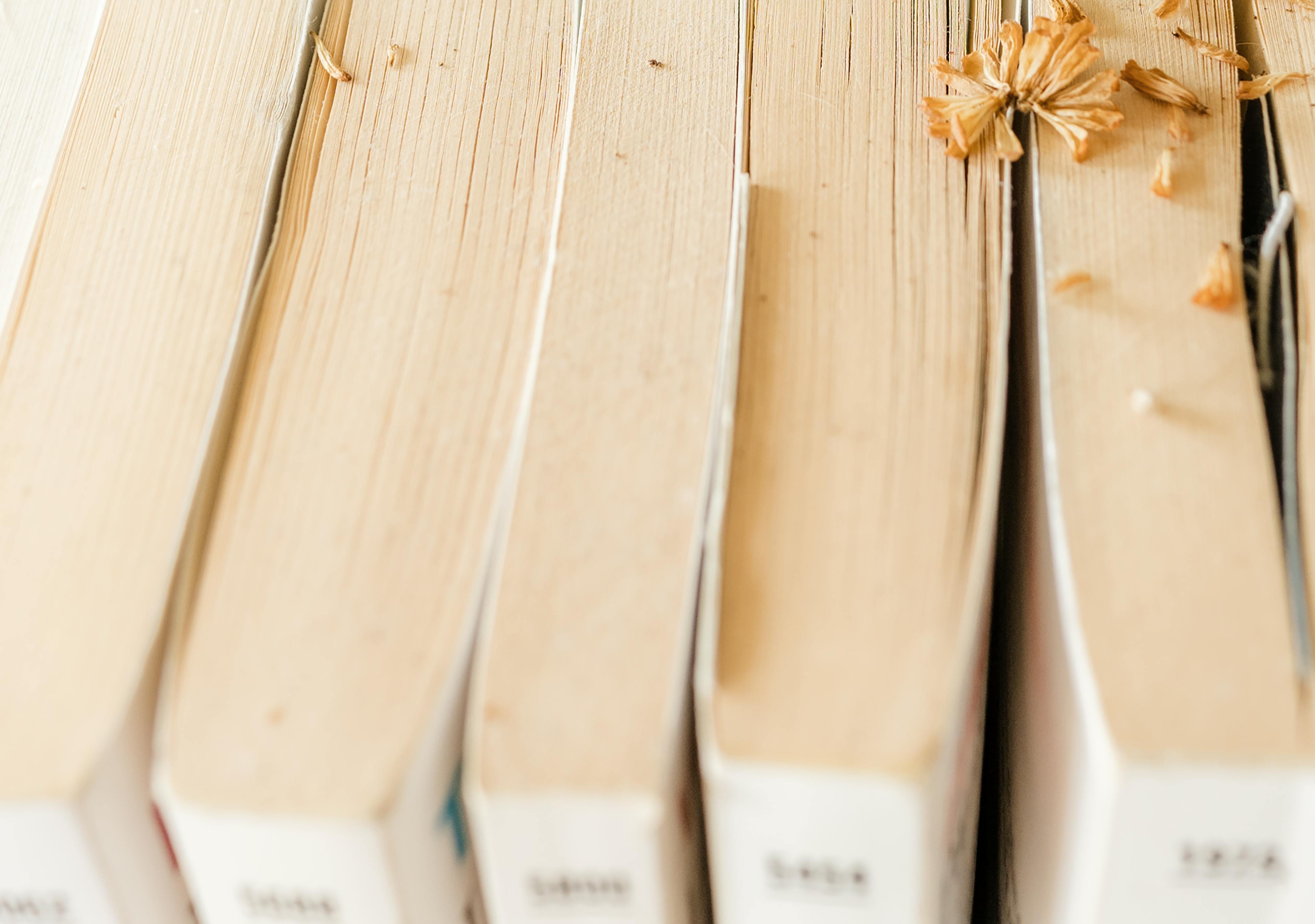 Afbeelding van boeken.