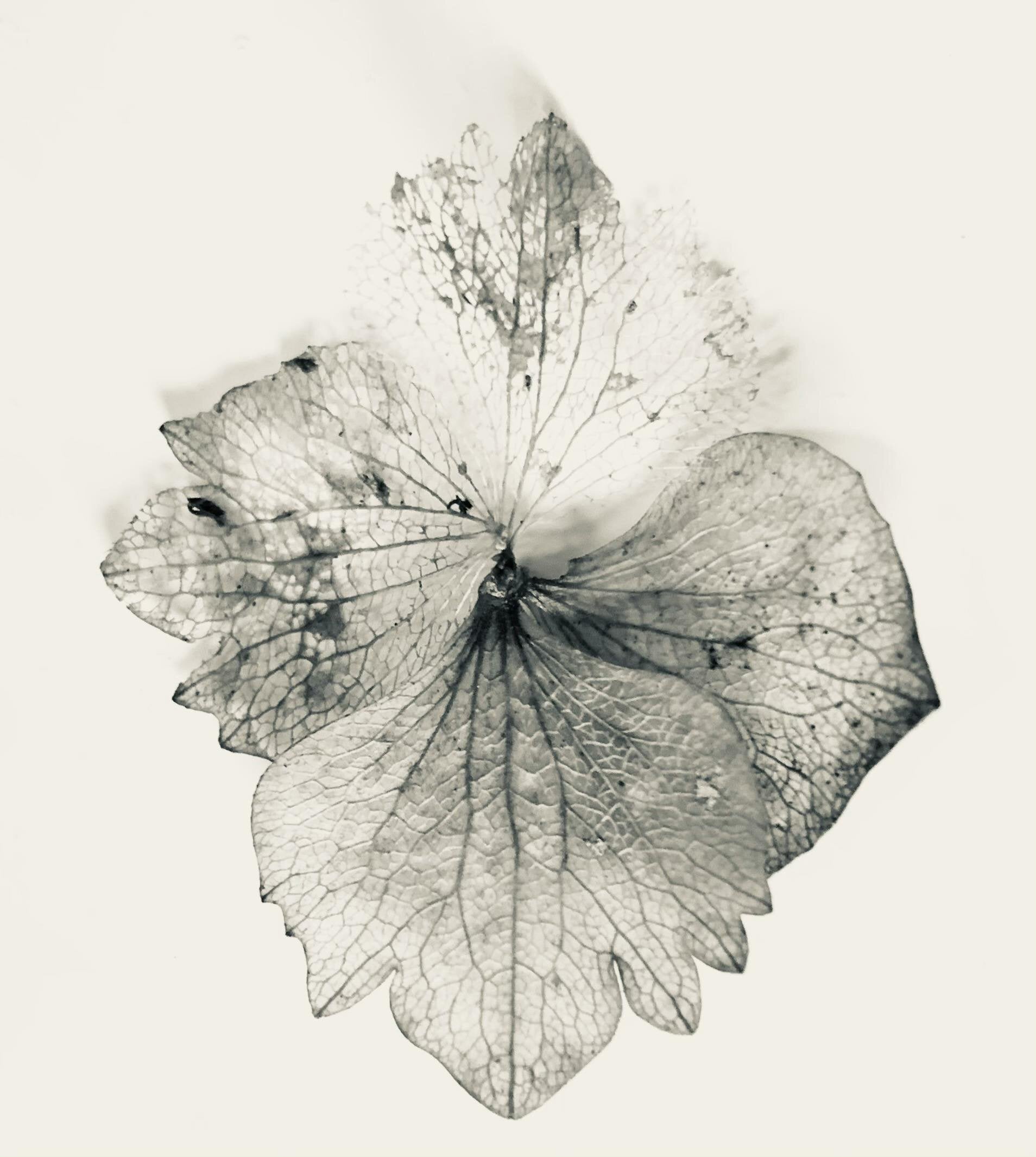 hochsensible Mutter, Mutterschaft Überforderung, spirituelle Geburt, Rituale für Mütter, HSP-Test