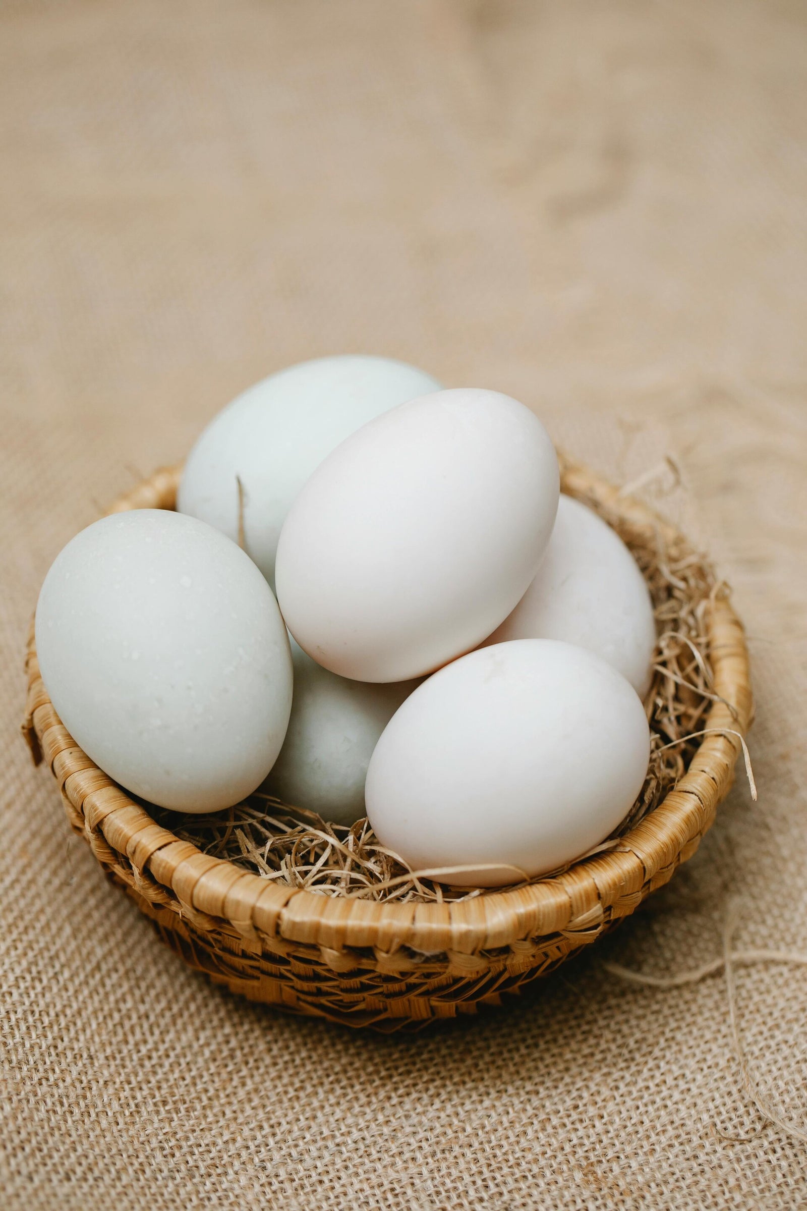 Live Oak Roost Farm photo 15
