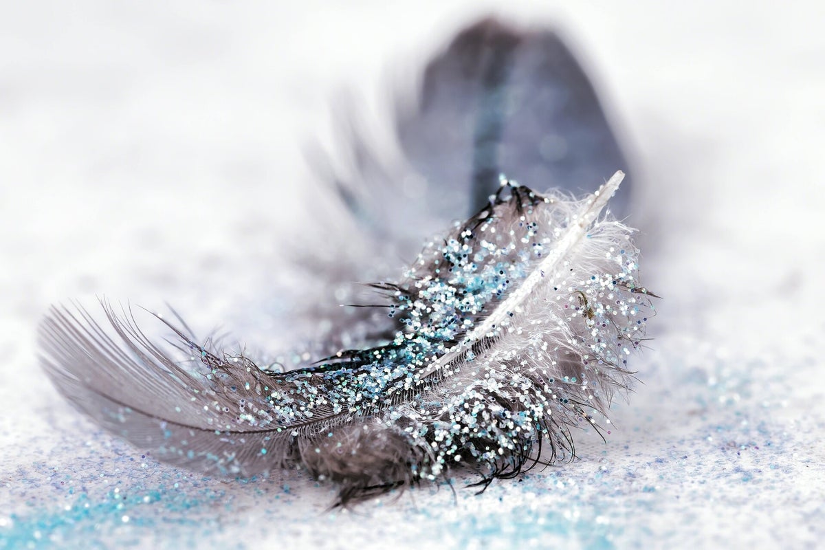 Booking Info | Rose Psychic Medium