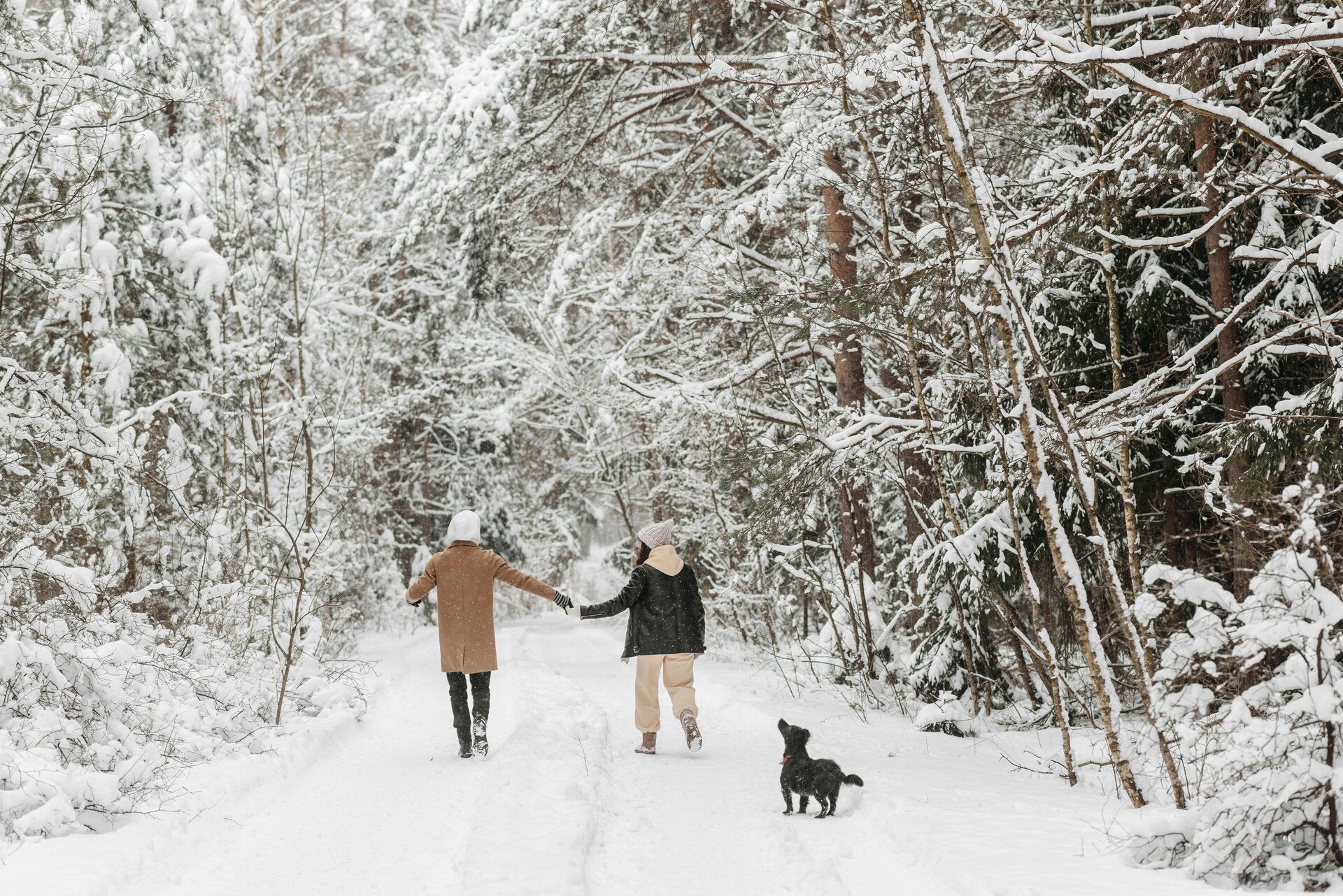 Stel wandelt met hond in winters sneeuwlandschap bij het artikel over patronen in relaties - Praktijk Relatiereis Barneveld.