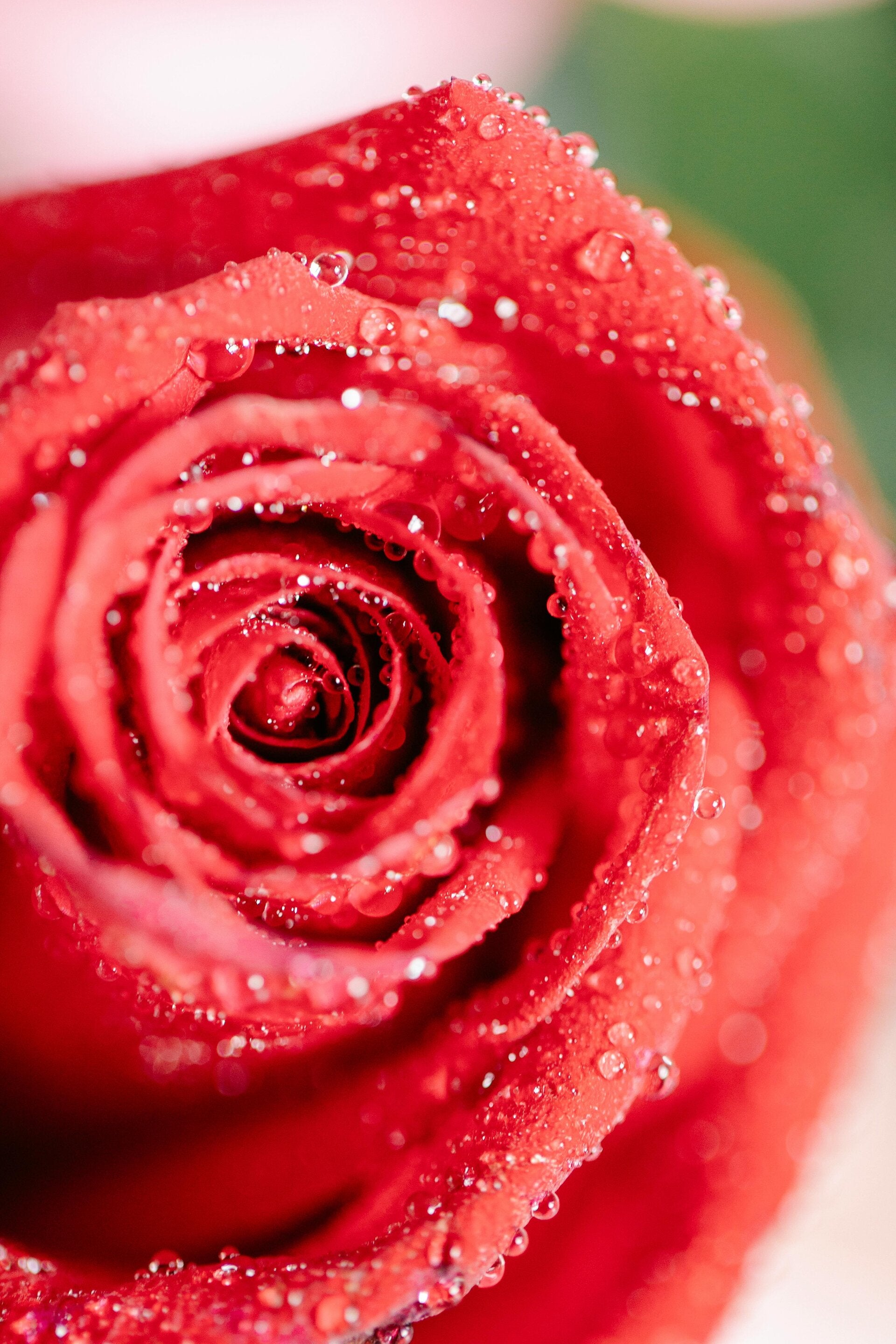 développement professionnel