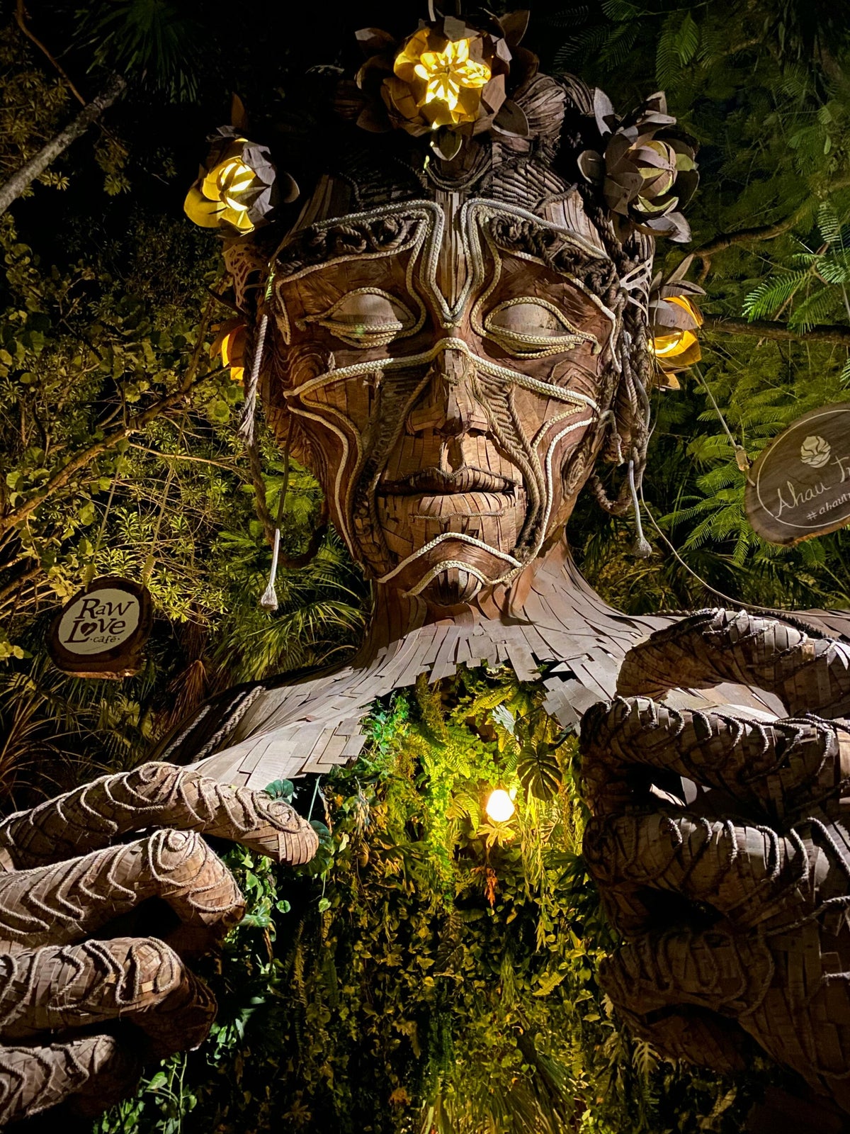 Wassailing the apple tree / Appel Plantlore / Fruit Plantlore / Planten ...