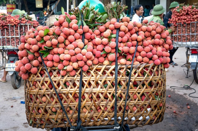 frutto lichis