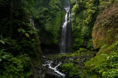 Cascade dans la jungle près de Munduk