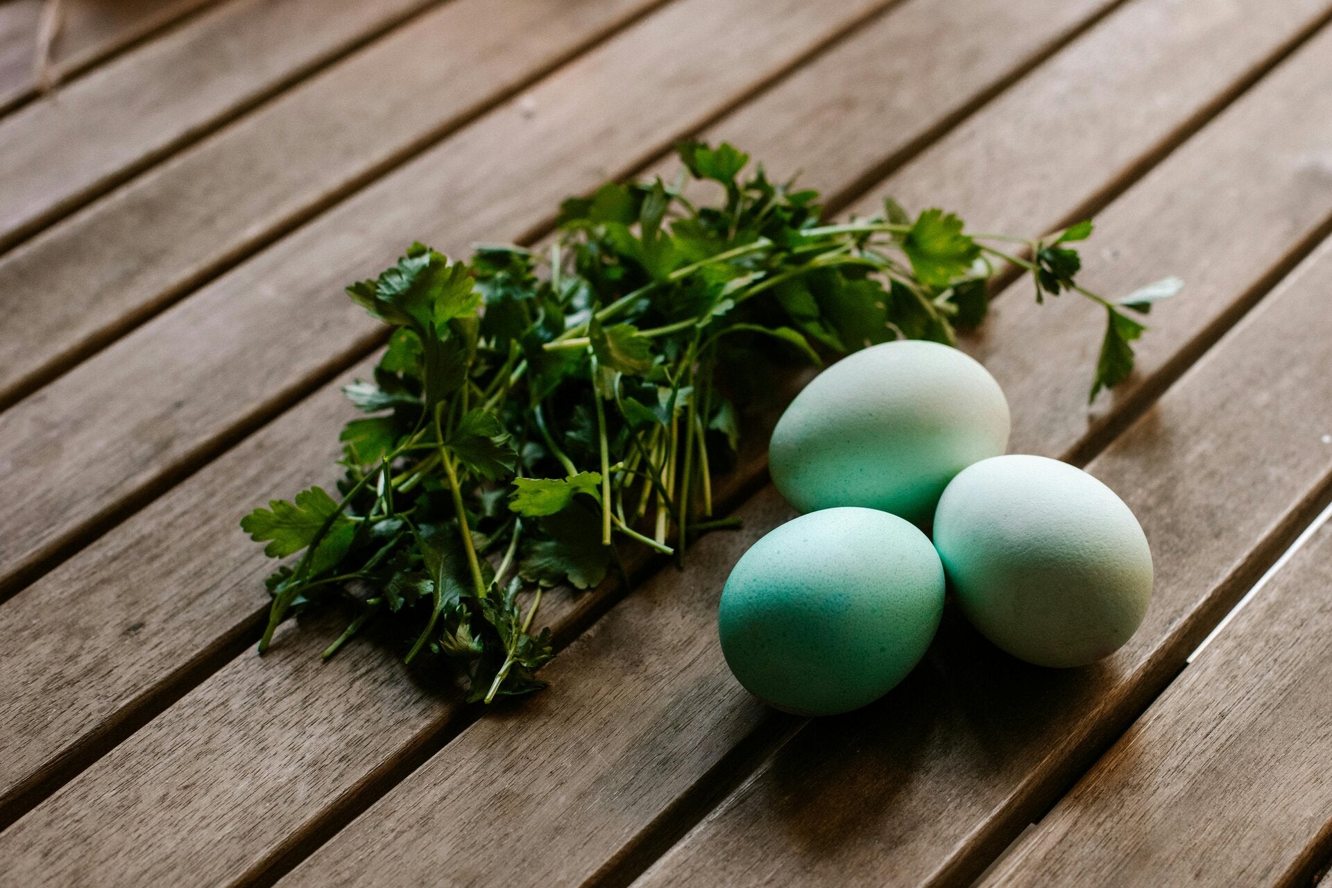 Kräuter auf unserer Natur im Allgäu