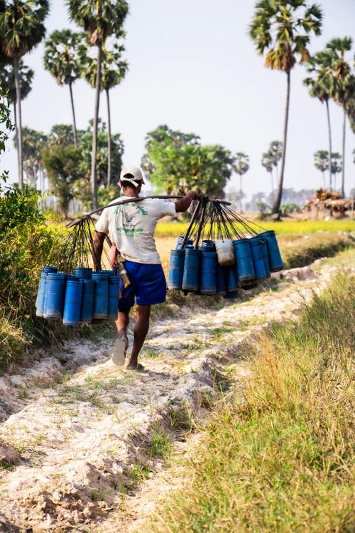 Paysan transportant du jus de palme dans la campagne