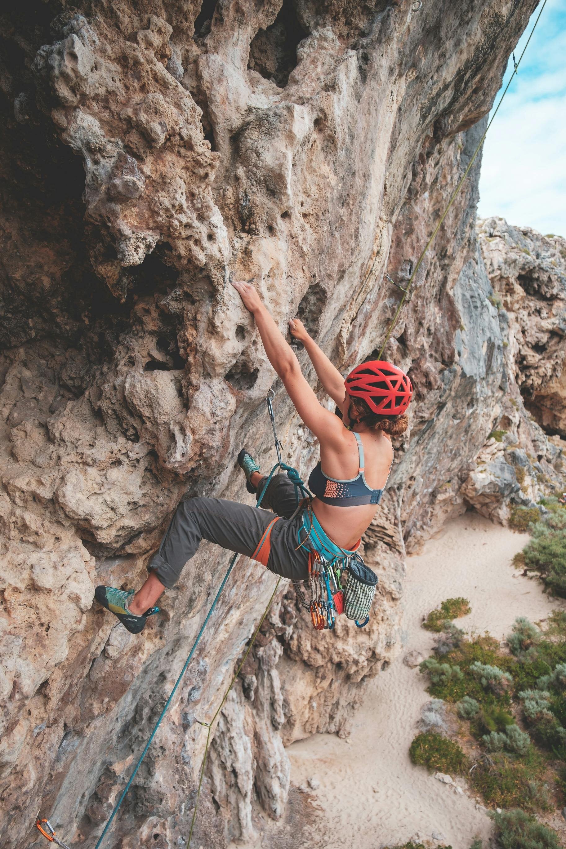 Arneses de escalada