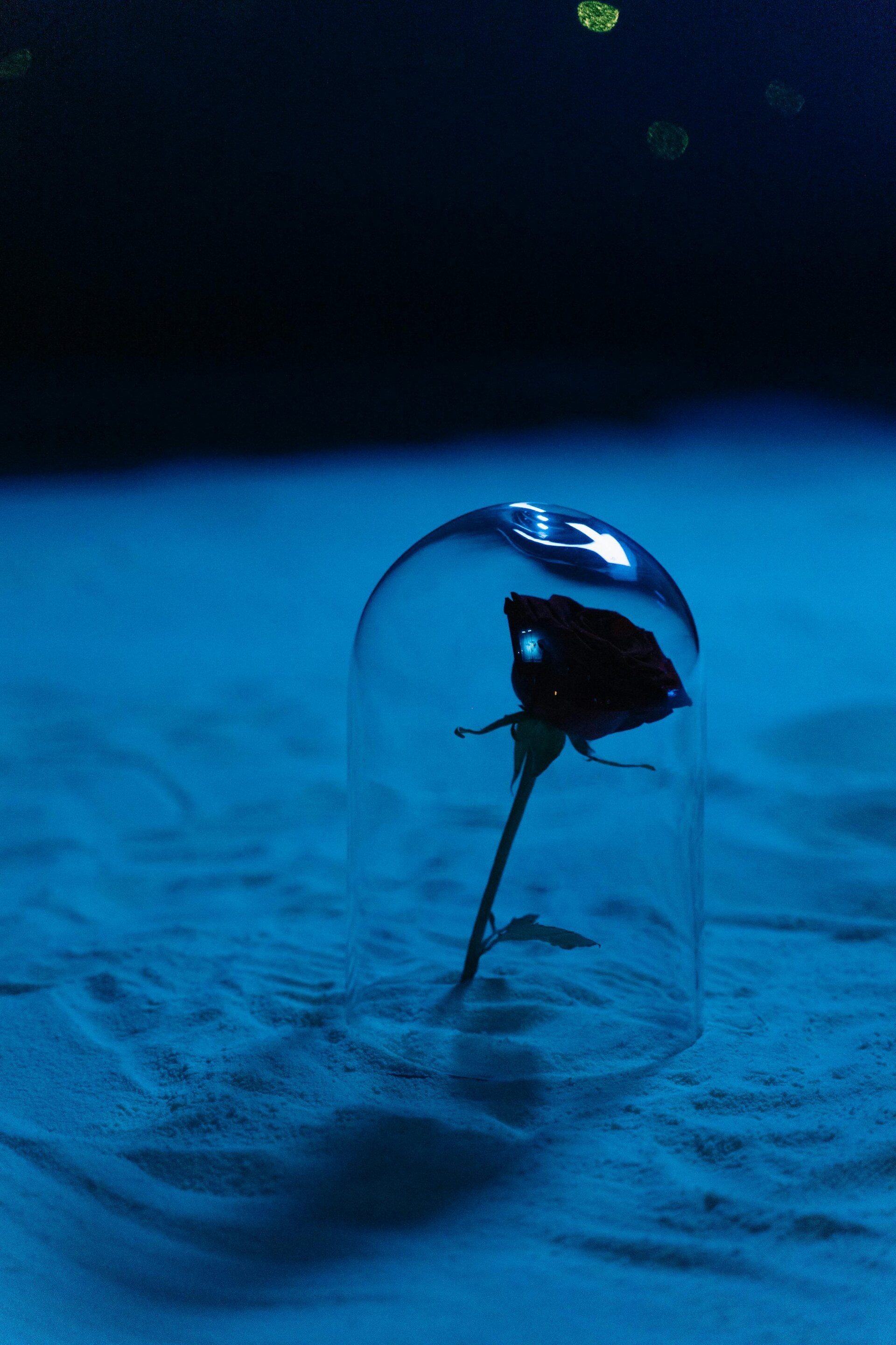 Schwangerschaftsabbruch verarbeiten, Trauer nach Abbruch, Selbstmitgefühl, Heilung, Trost, Hochsensibilität