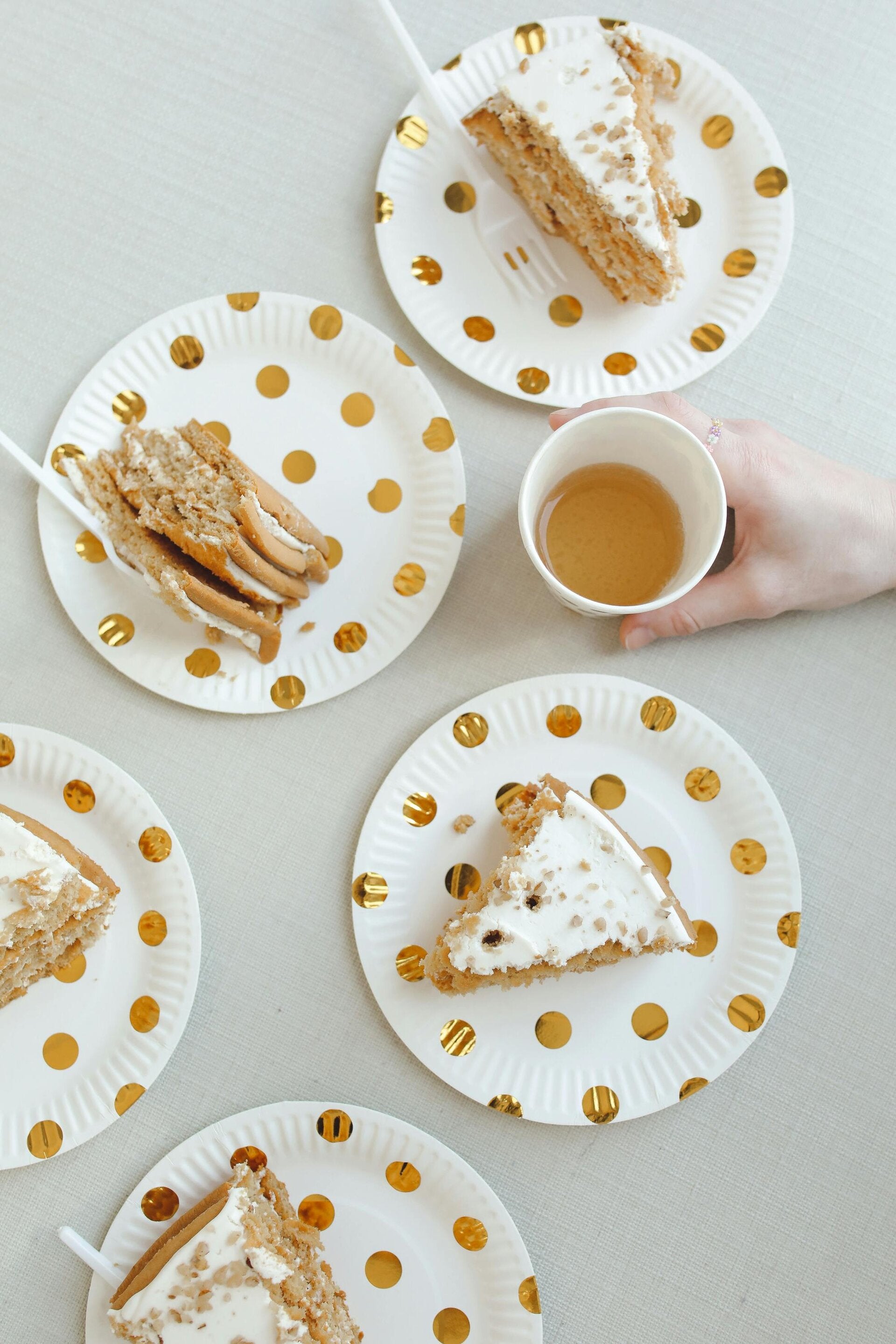 wegwerp bordjes met een katten afbeelding