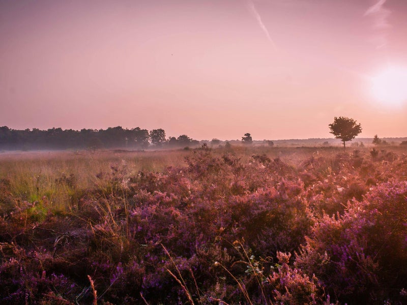 Kamperen in de natuur tijdens het Via Nomade Kampeerweekend