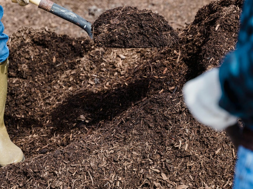 Southern Mulch Boiling Springsnull