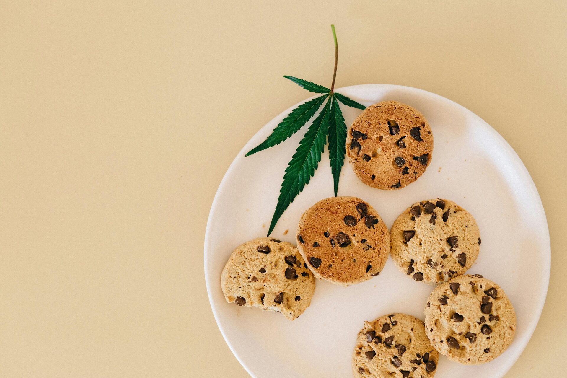 cannabis edibles, essential for cannabis and Stoner Strategies enthusiasts