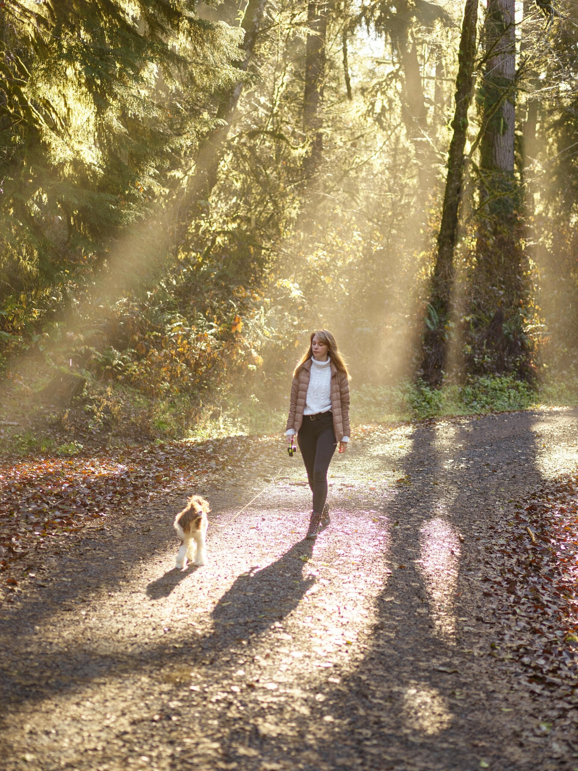 Femme marchant lentement dans un sentier boisé, lumière douce et ambiance zen.