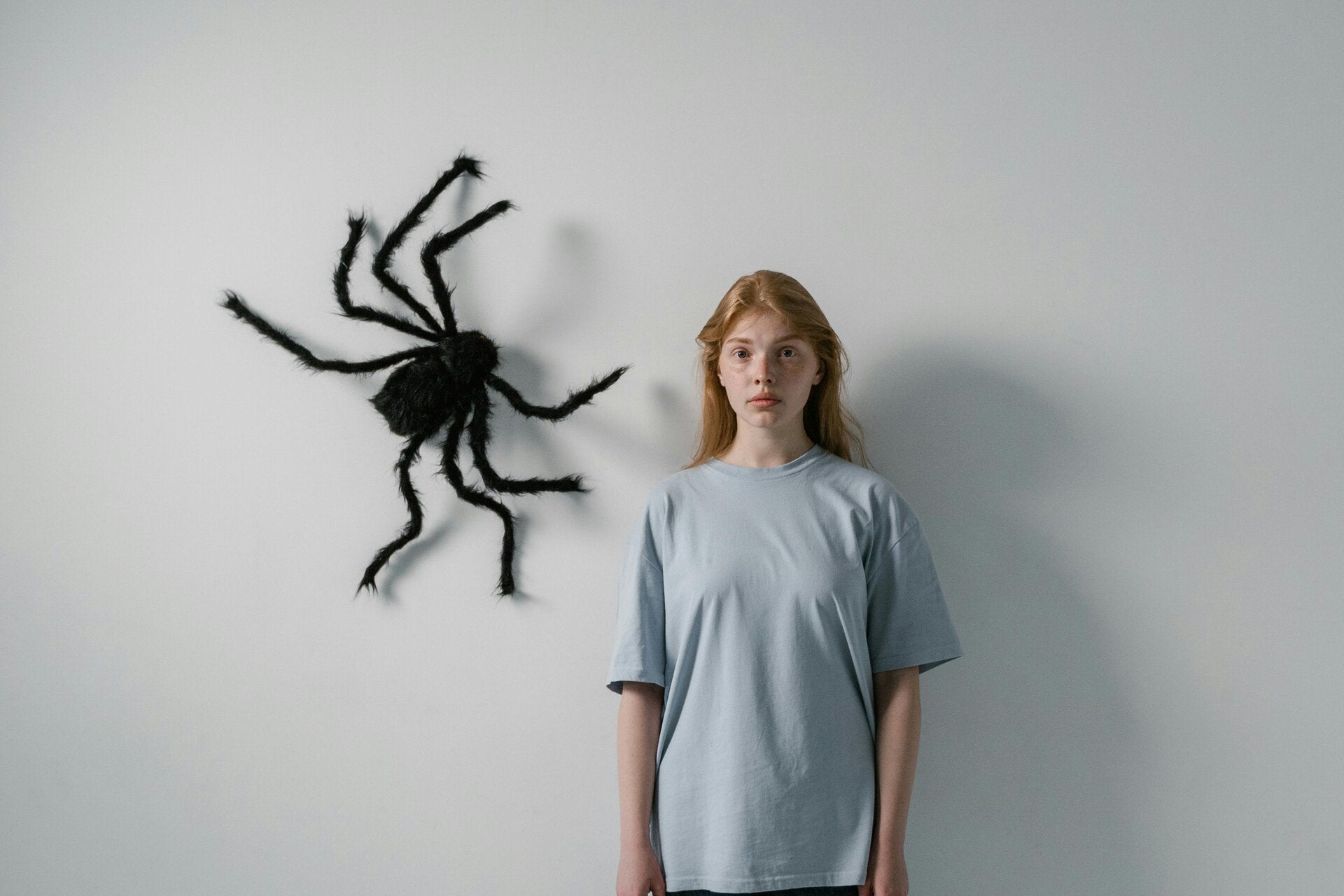 araignées tégénaires