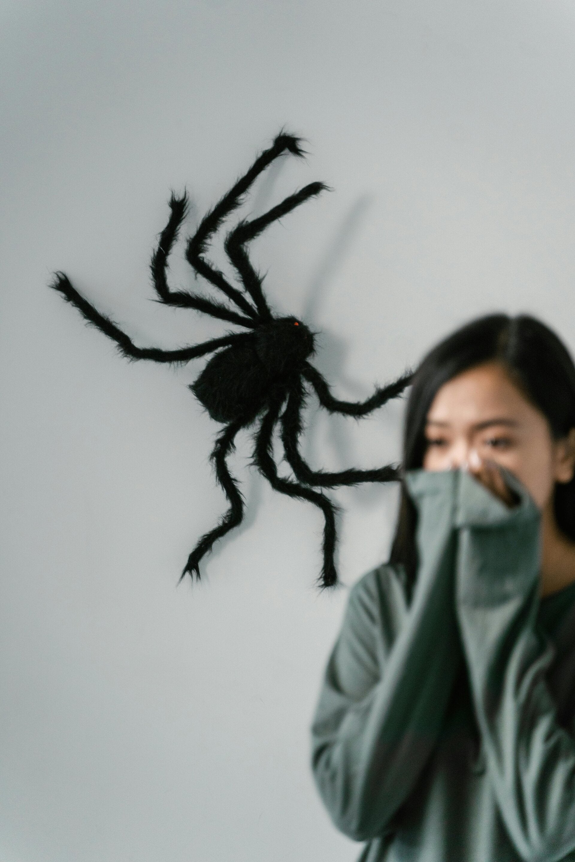 Fumigación de alacranes y arañas en Pedregal Control profesional de alacranes y arañas Pedregal Servicio de fumigación contra alacranes Pedregal Fumigación especializada contra arañas en Pedregal Eliminar alacranes y arañas del Pedregal Control de plagas 