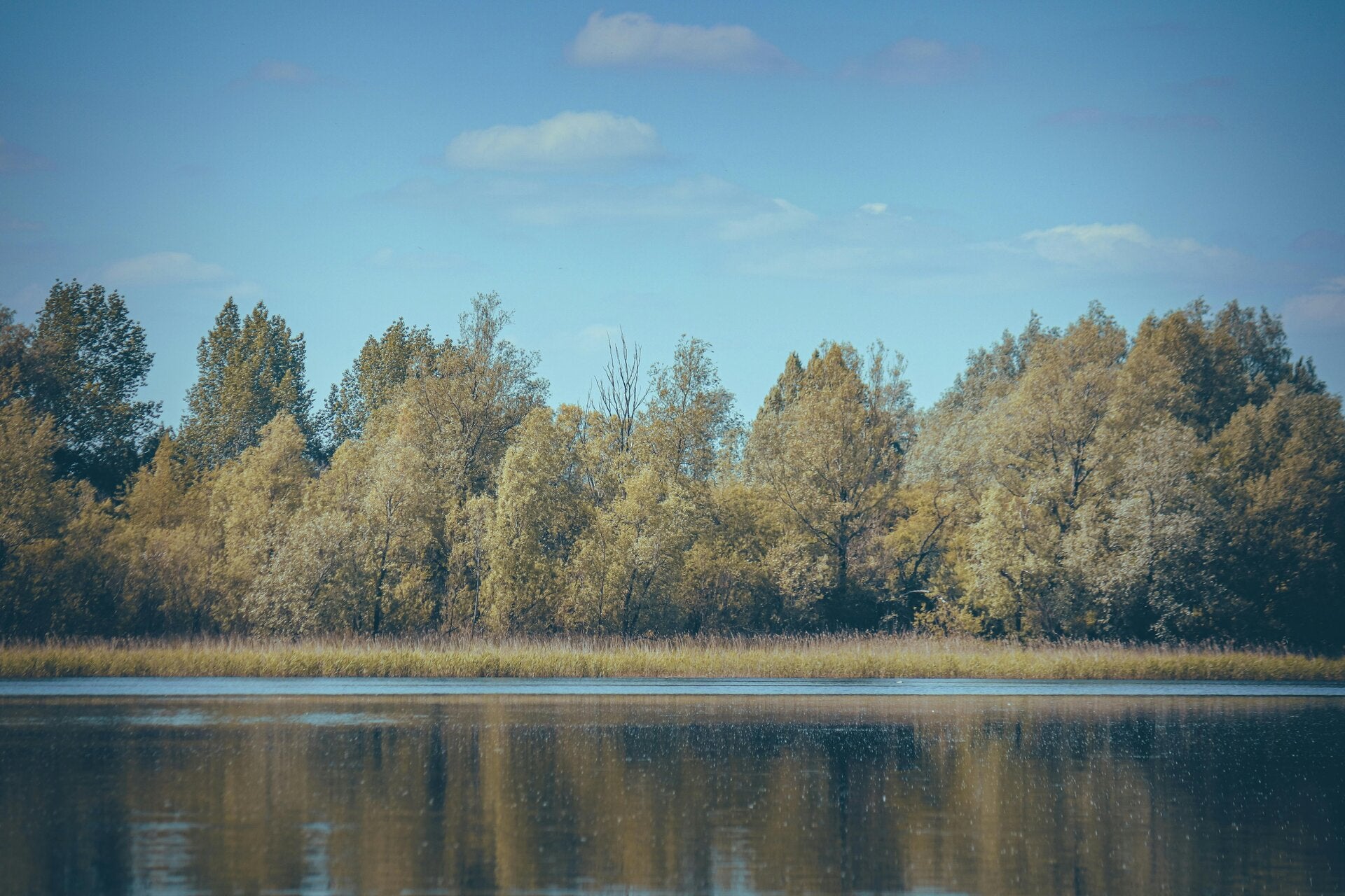 clarity reset retreat