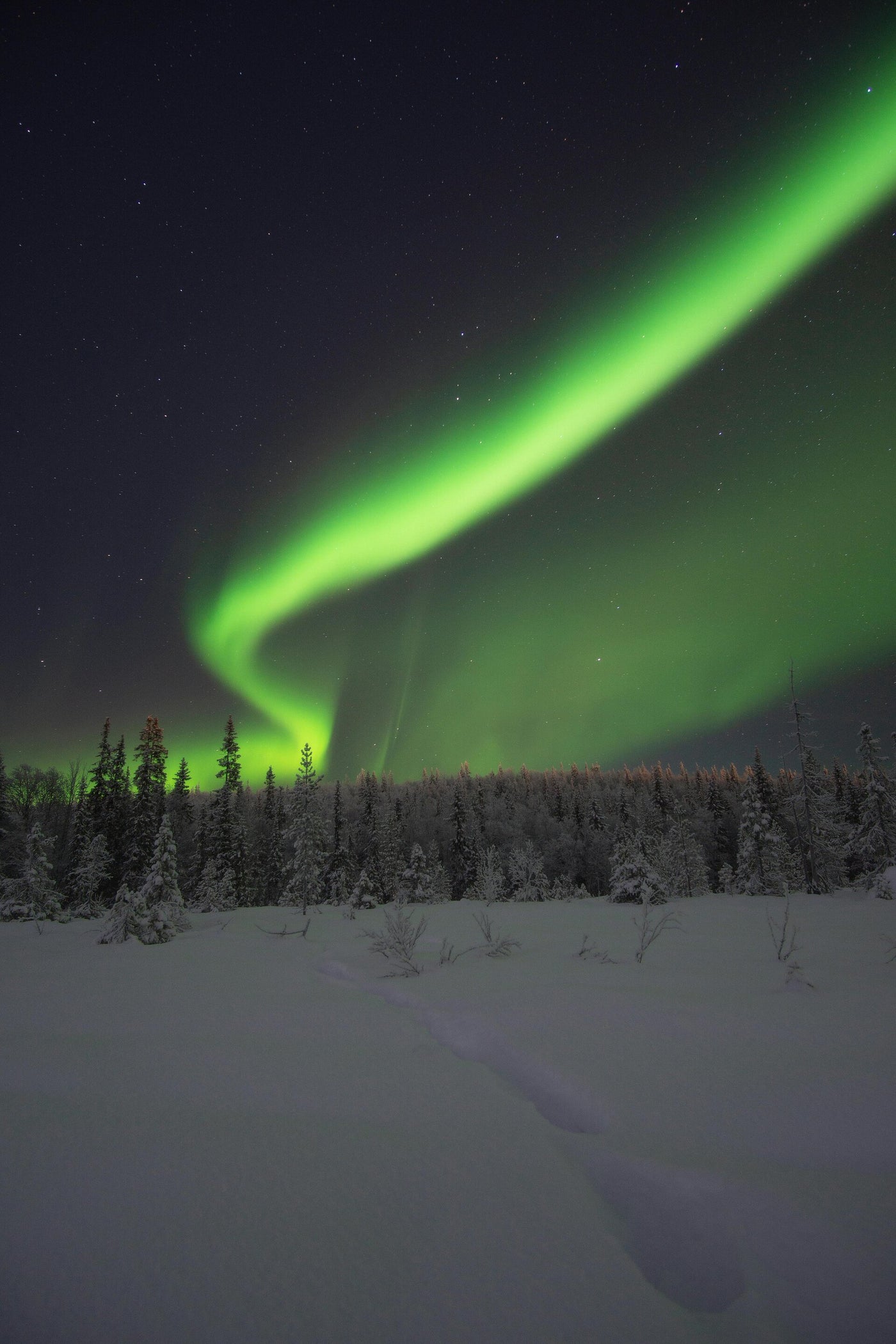 Northern Lights — illustrative photograph