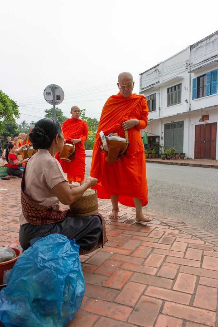 Aumône des moines à Luang Prabang