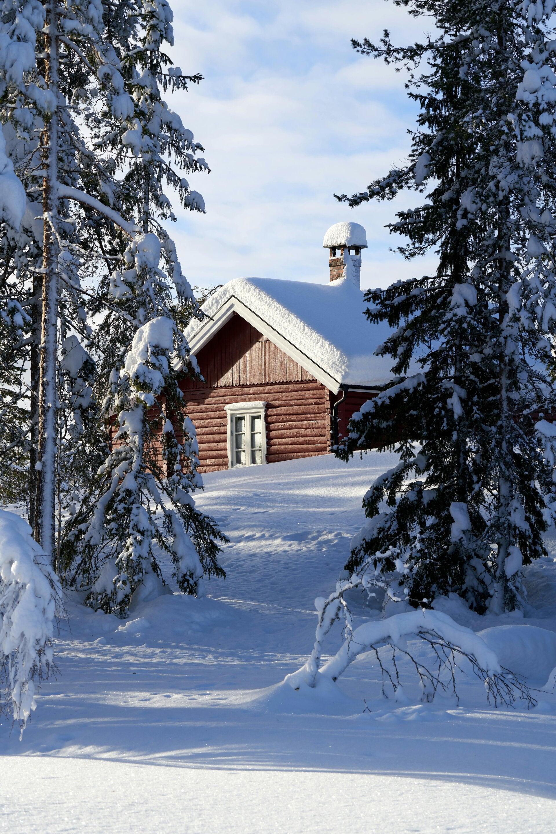 Luxe & Net nettoyage complet espaces insalubres Rive-Sud