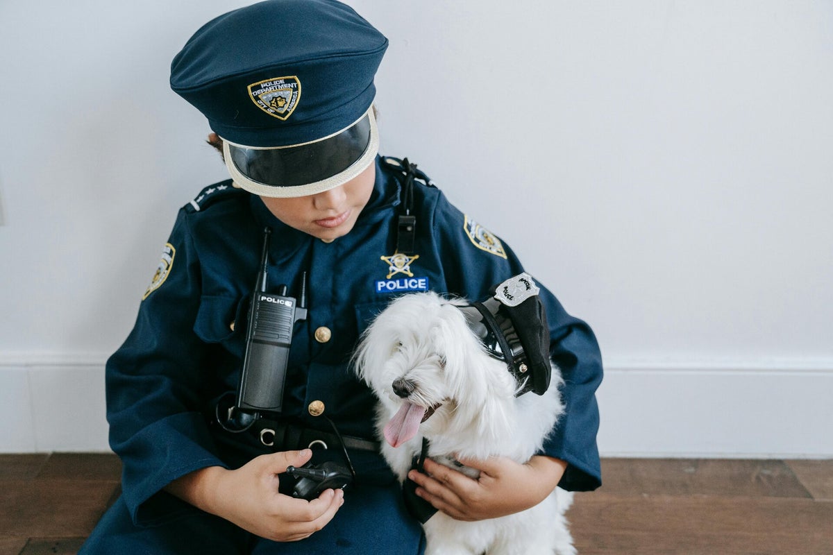Dog Fighting and Rooster Fighting... It's Illegal!! / Blog | Scotland ...