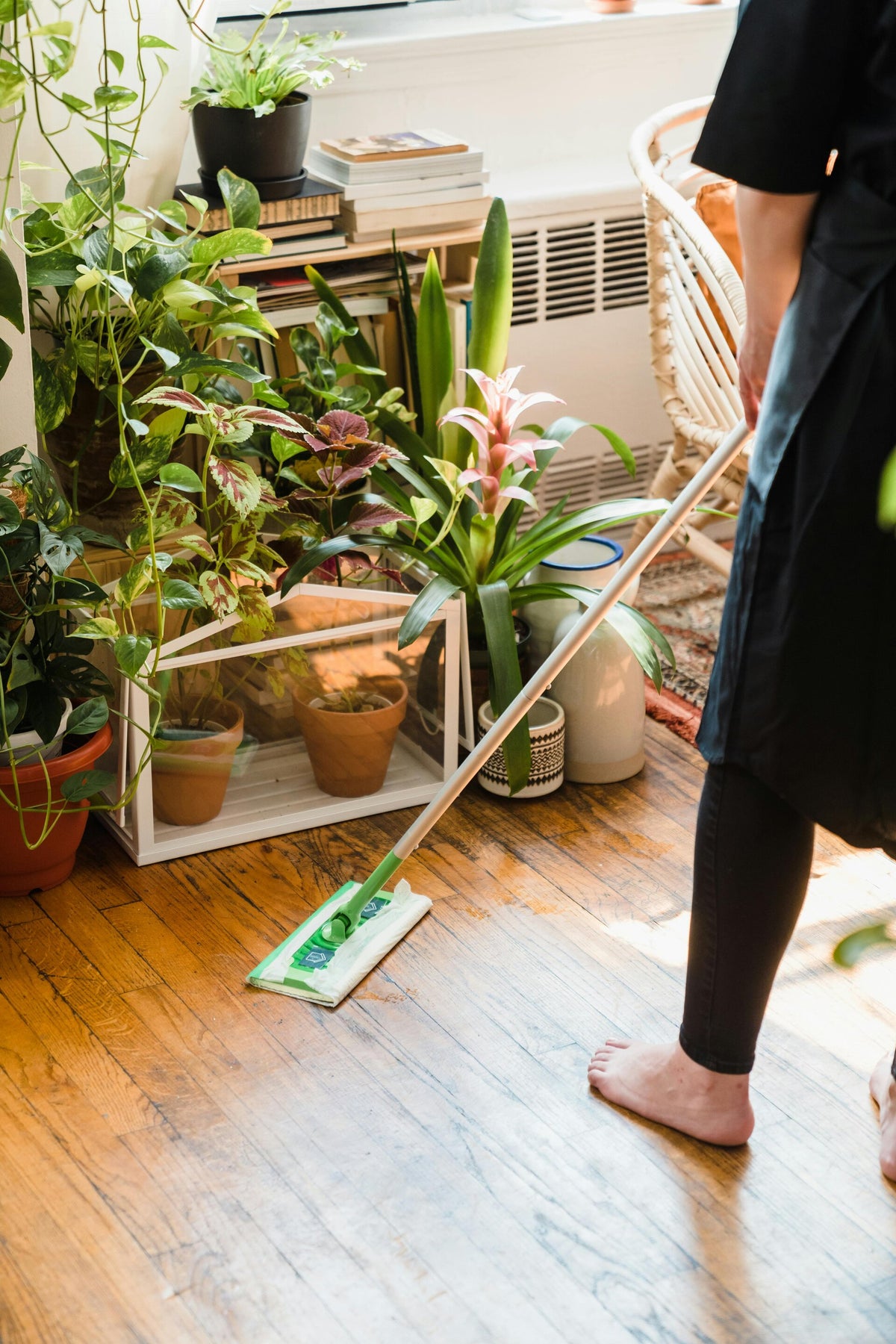 BC Eco Clean