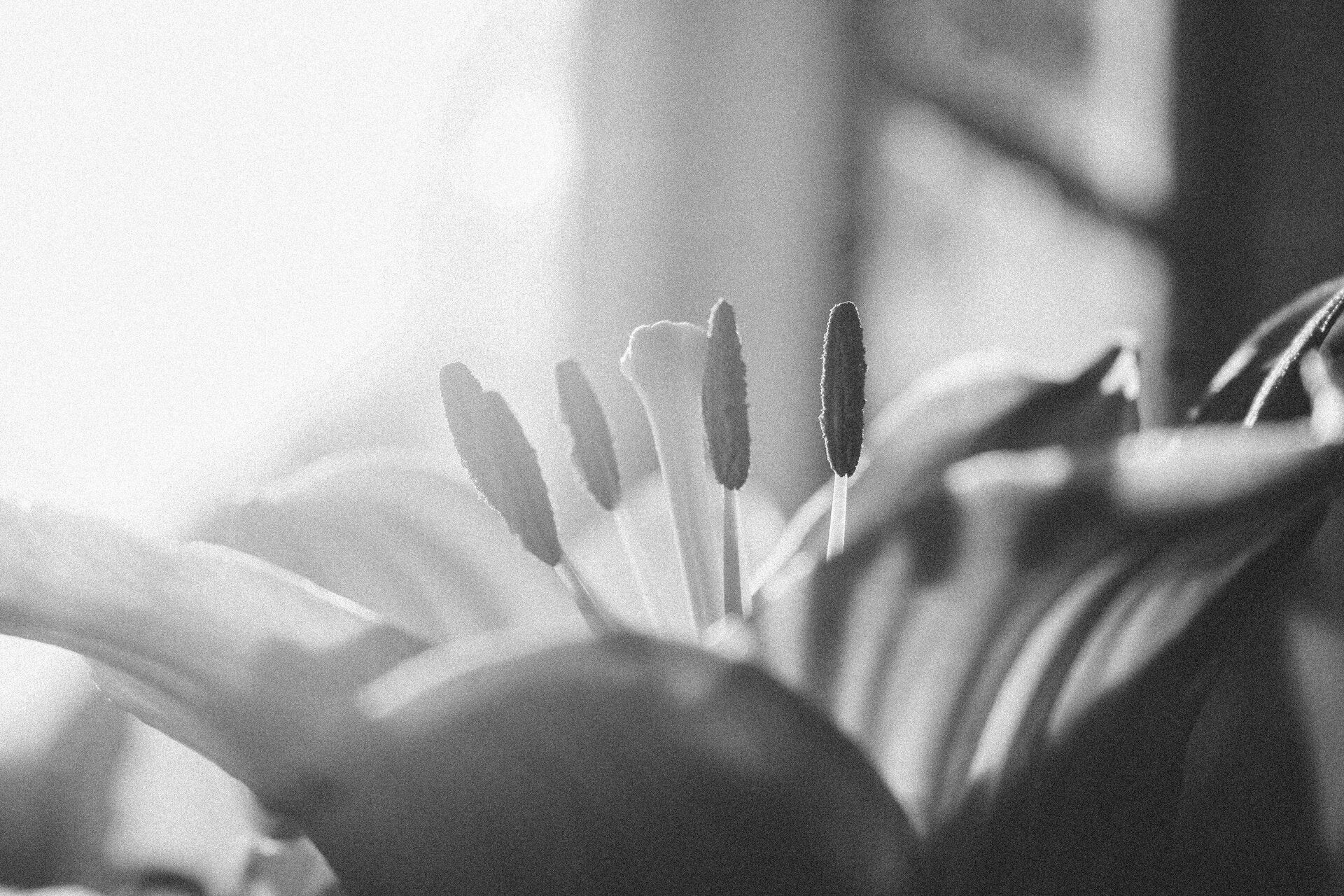     Schwangerschaftsabbruch verarbeiten     Emotionale Folgen Abtreibung     Scham nach Abbruch     Schuldgefühle nach Schwangerschaftsabbruch     Hochsensible Frauen Schwangerschaftsabbruch     Trauma nach Abtreibung     Selbstvergebung nach Schwangersch