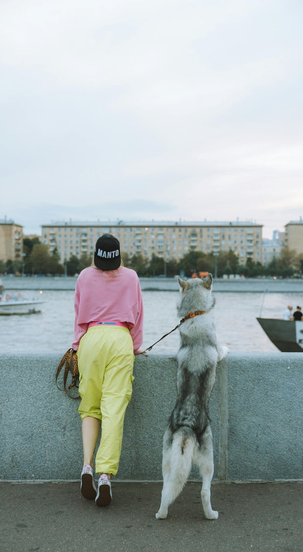 Hund und Mensch gemeinsam unterwegs auf einer Brücke