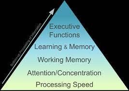 Neuropsychological examination / Information | Braininjury-explanation.com