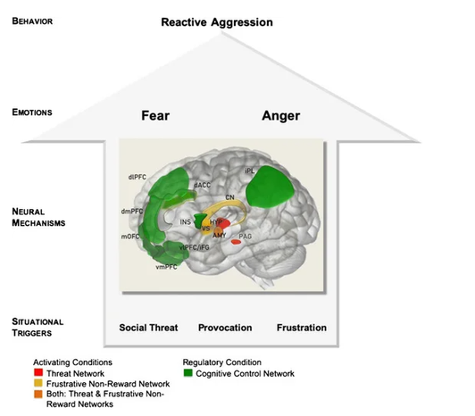 Inhibit Aggression Aggression / Emotions Behaviour Relationships / Consequences ...
